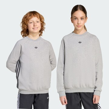 ADIDAS ORIGINALS Sweatshirt in Grau: Vorderseite