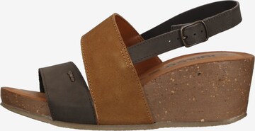 Sandales IGI&CO en marron