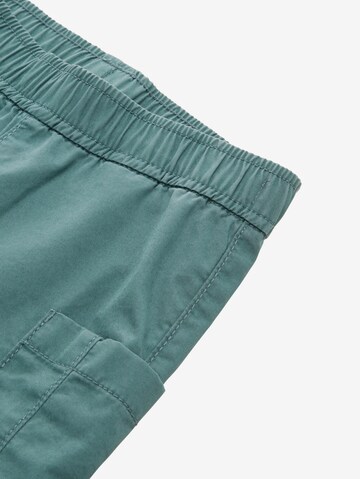 regular Pantaloni di TOM TAILOR in verde