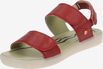 Softinos Sandalen met riem in Rood: voorkant