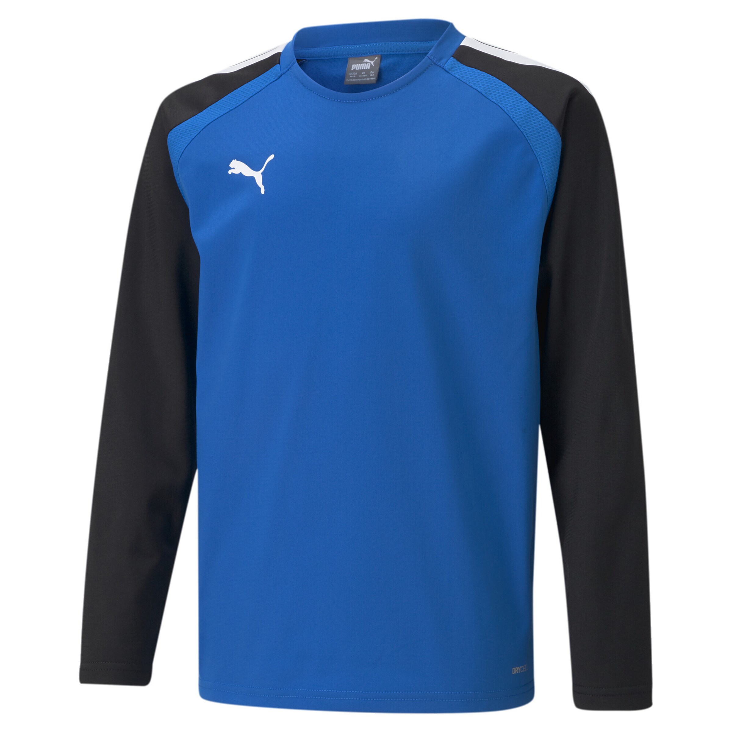 PUMA Funktionsshirt 'TeamLiga' in Blau: Vorderseite
