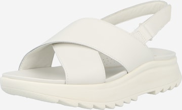 CLARKS Босоножки 'DashLite Wish' в Белый: спереди