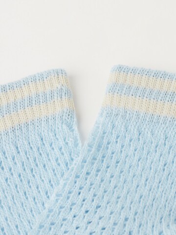CALZEDONIA Socks in Blue