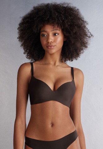 INTIMISSIMI Triangle Bra in Brown: front