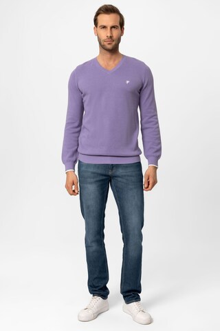 DENIM CULTURE Sweater 'Romario' in Purple