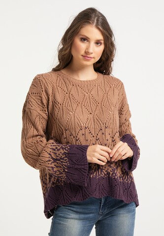 IZIA Sweater in Brown: front