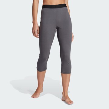 ADIDAS TERREX Regular Outdoorhose in Grau: predná strana