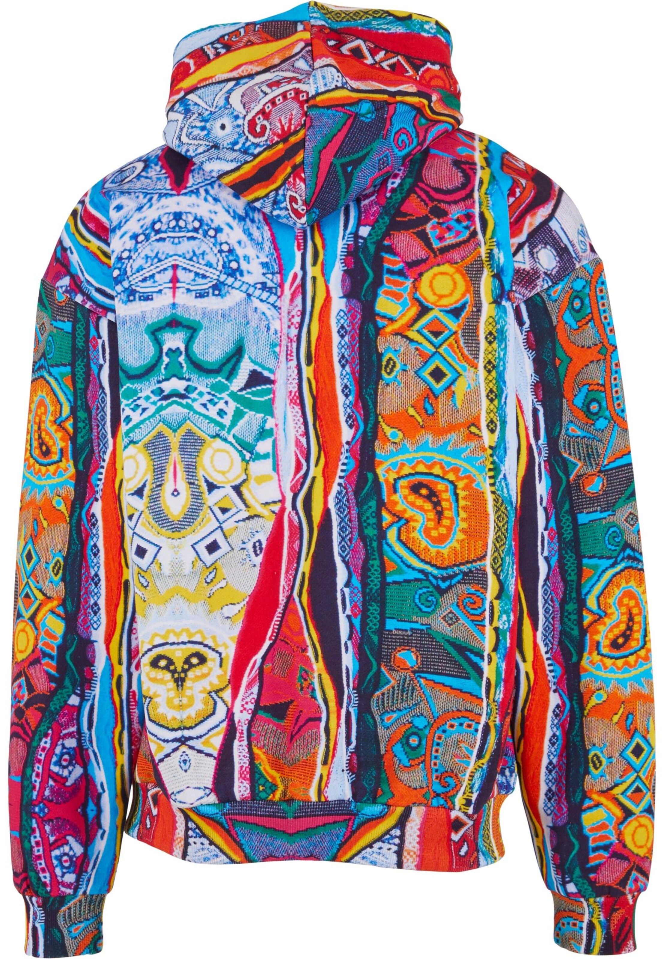 Colucci Sweatshirt in Mixed colors