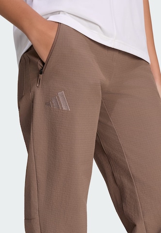 ADIDAS TERREX Regular Outdoor trousers 'Xperior' in Brown