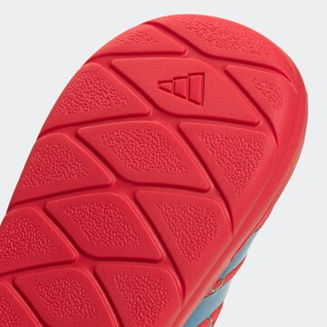 ADIDAS SPORTSWEAR Slip On in Rot