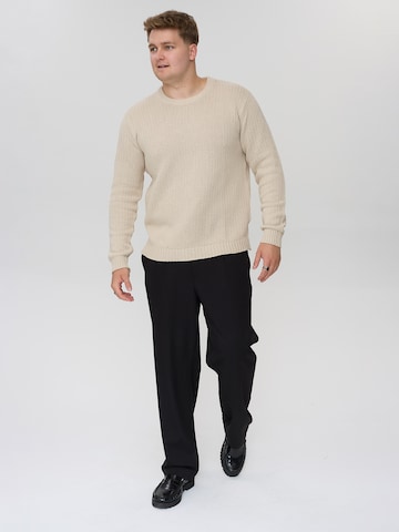 Dxnmxrk Sweater 'DXFae' in Grey