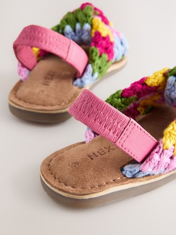 Next - Sandalias en Mezcla de colores
