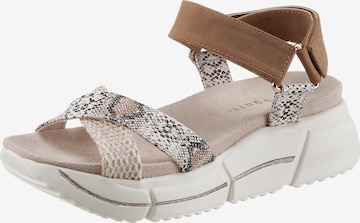 bugatti Sandals in Beige: front