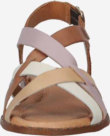 PIKOLINOS Strap Sandals in Brown