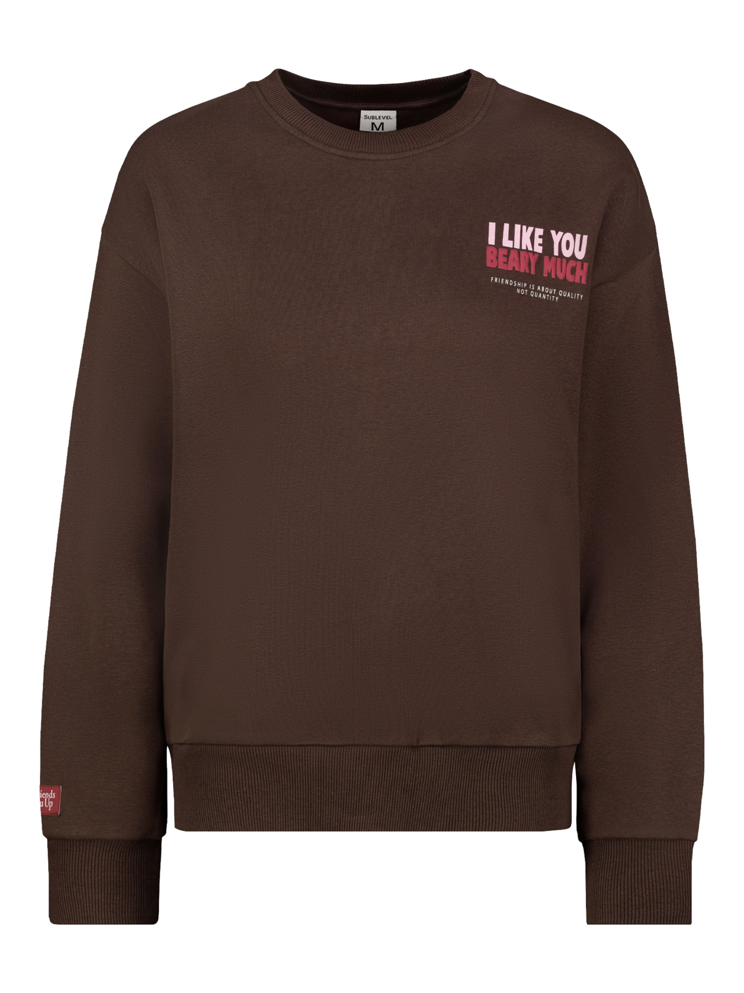 Sublevel Sweatshirt in Braun: Vorderseite