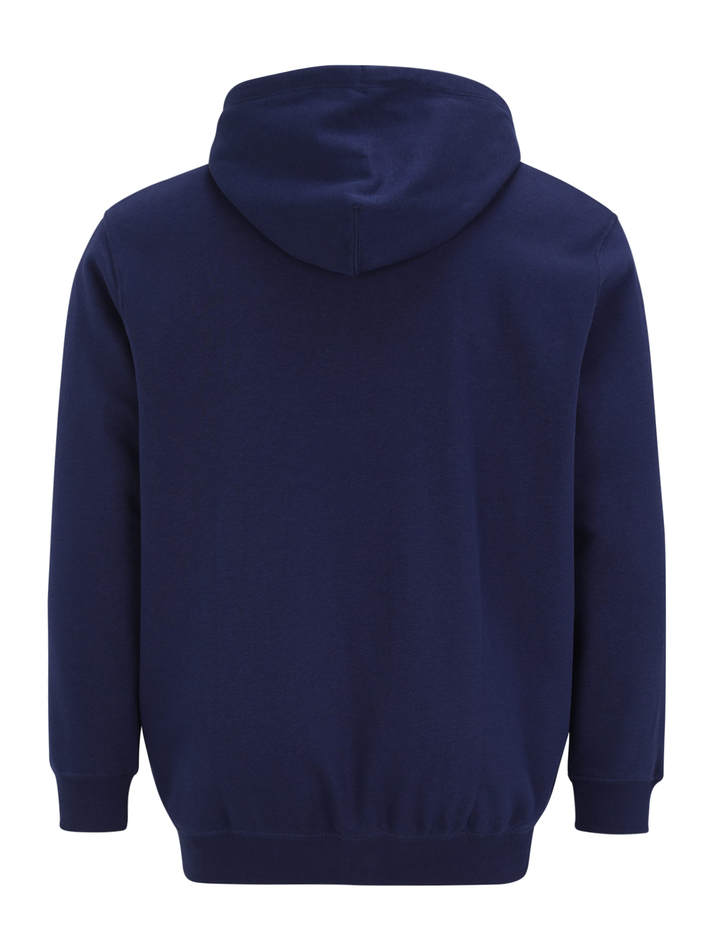 Jack & Jones Plus Sweatshirt 'JORInwood' in Blue