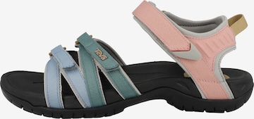 TEVA Sandals 'Tirra' in Mixed colors