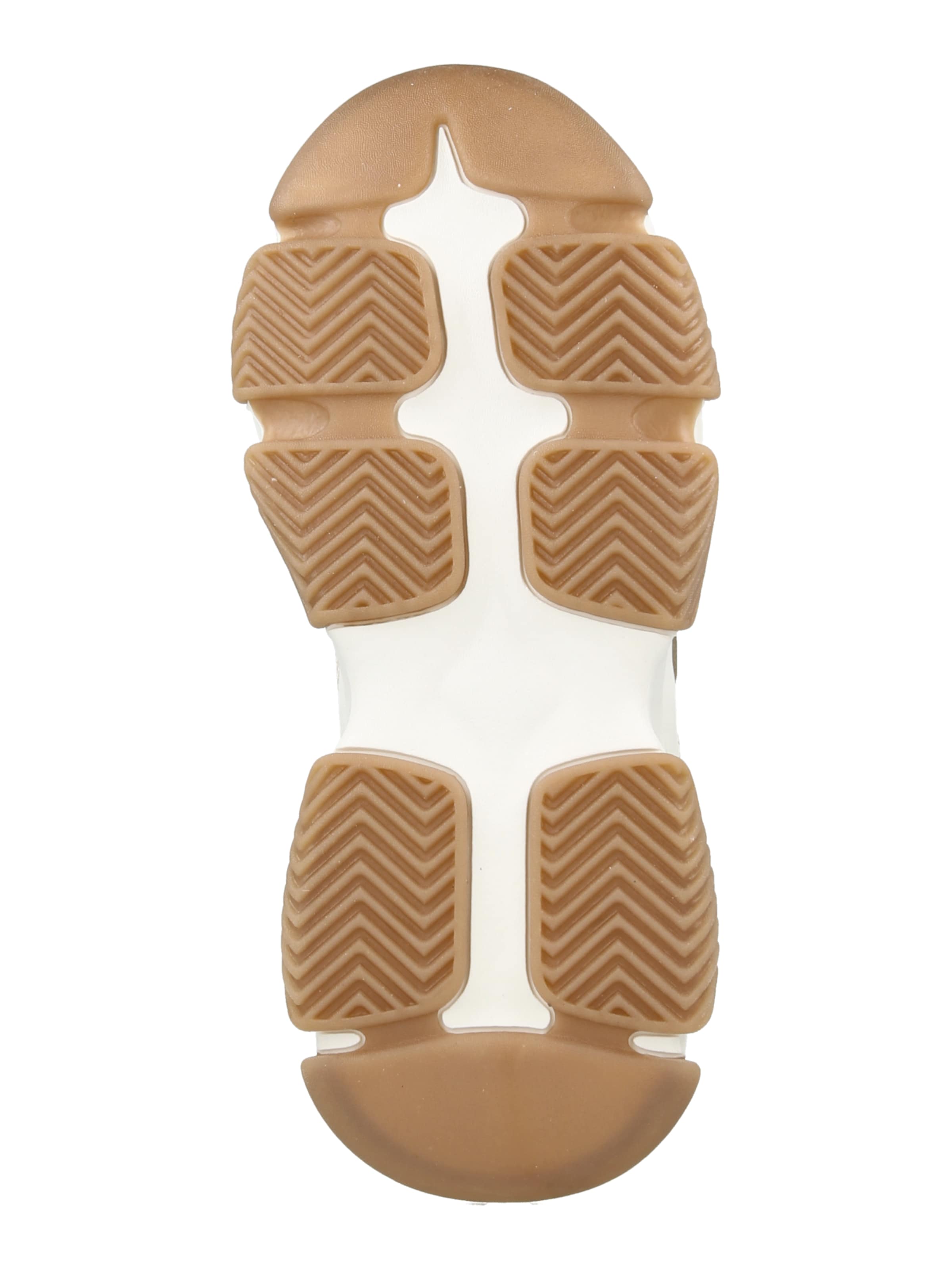 STEVE MADDEN Nizke superge 'POSSESSION-E' | rjava barva