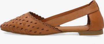 VENEZIA Ballet Flats in Brown: front