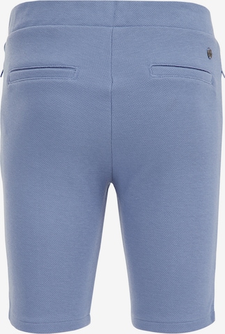 WE Fashion Slimfit Broek in Blauw