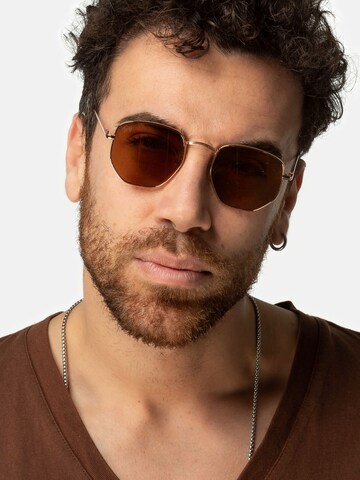 TWIG Concept Milano Sunglasses 'Roque' in Brown
