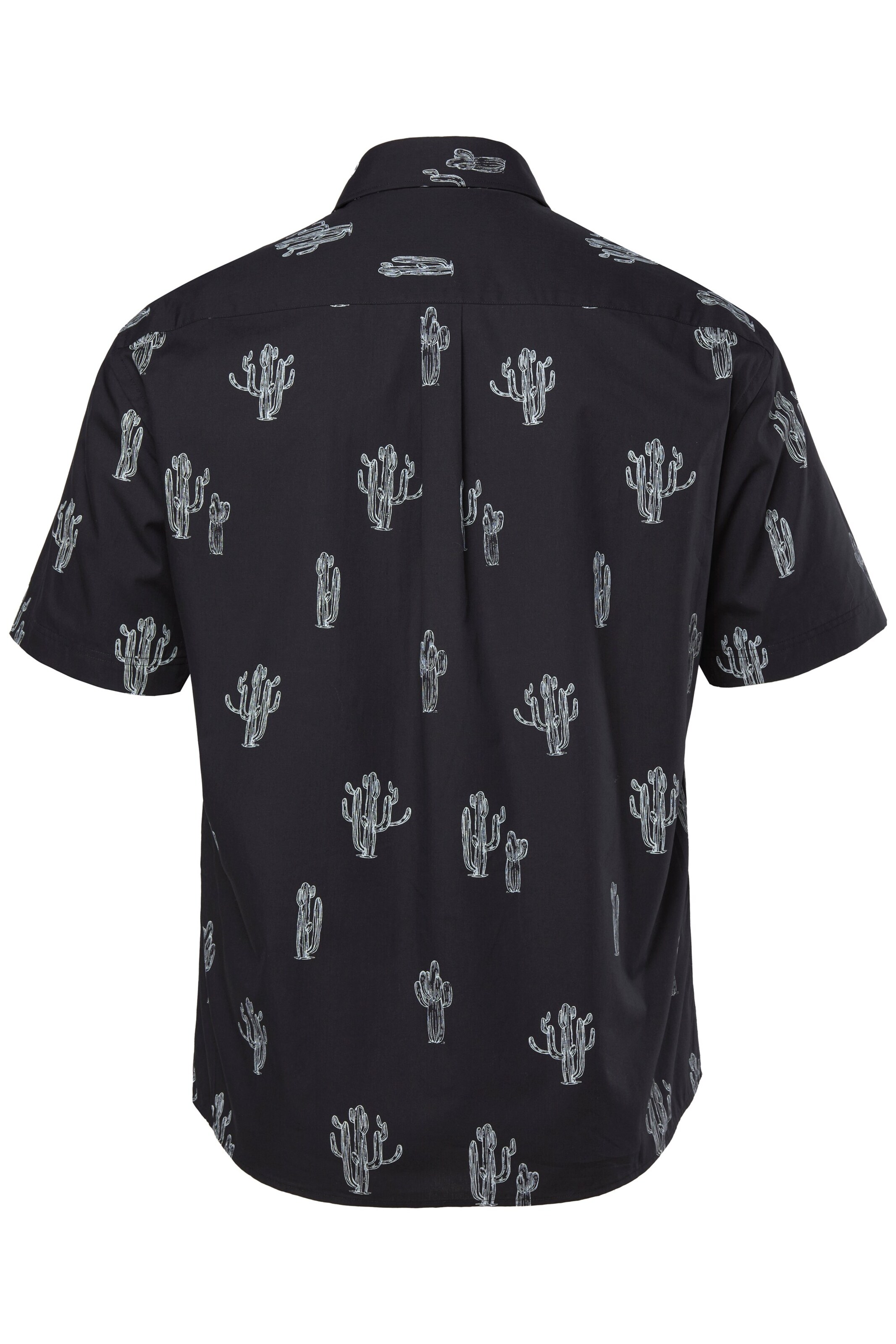 JP1880 Regular fit Button Up Shirt in Black
