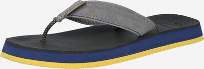 Flip-flops HAVAIANAS pe gri grafit / negru, Vizualizare produs