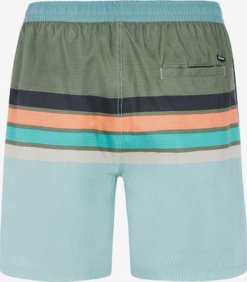 PROTEST Badeshorts 'PRTAvik' in Grün: Vorderseite