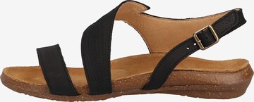 EL NATURALISTA Strap Sandals in Black