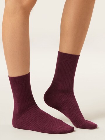 CALZEDONIA Socks in Red: front