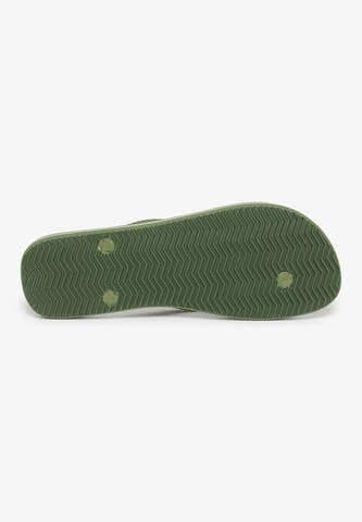 Tongs Superdry en vert