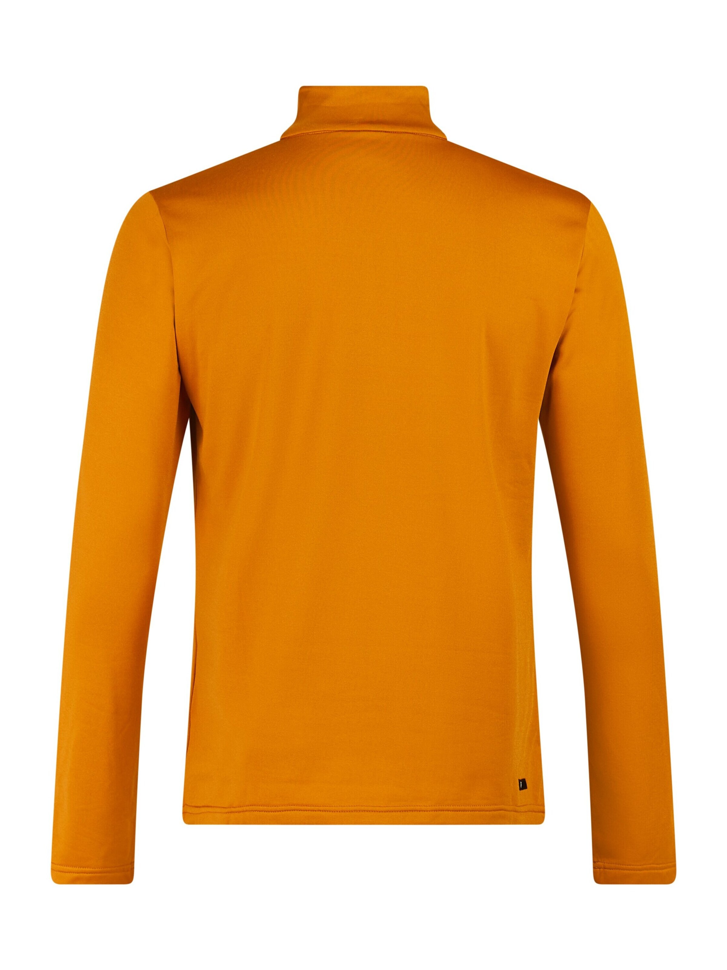 PROTEST Sportsweatshirt 'REWILL'‌‌‌‌‌‌‌‌‌ in Braun