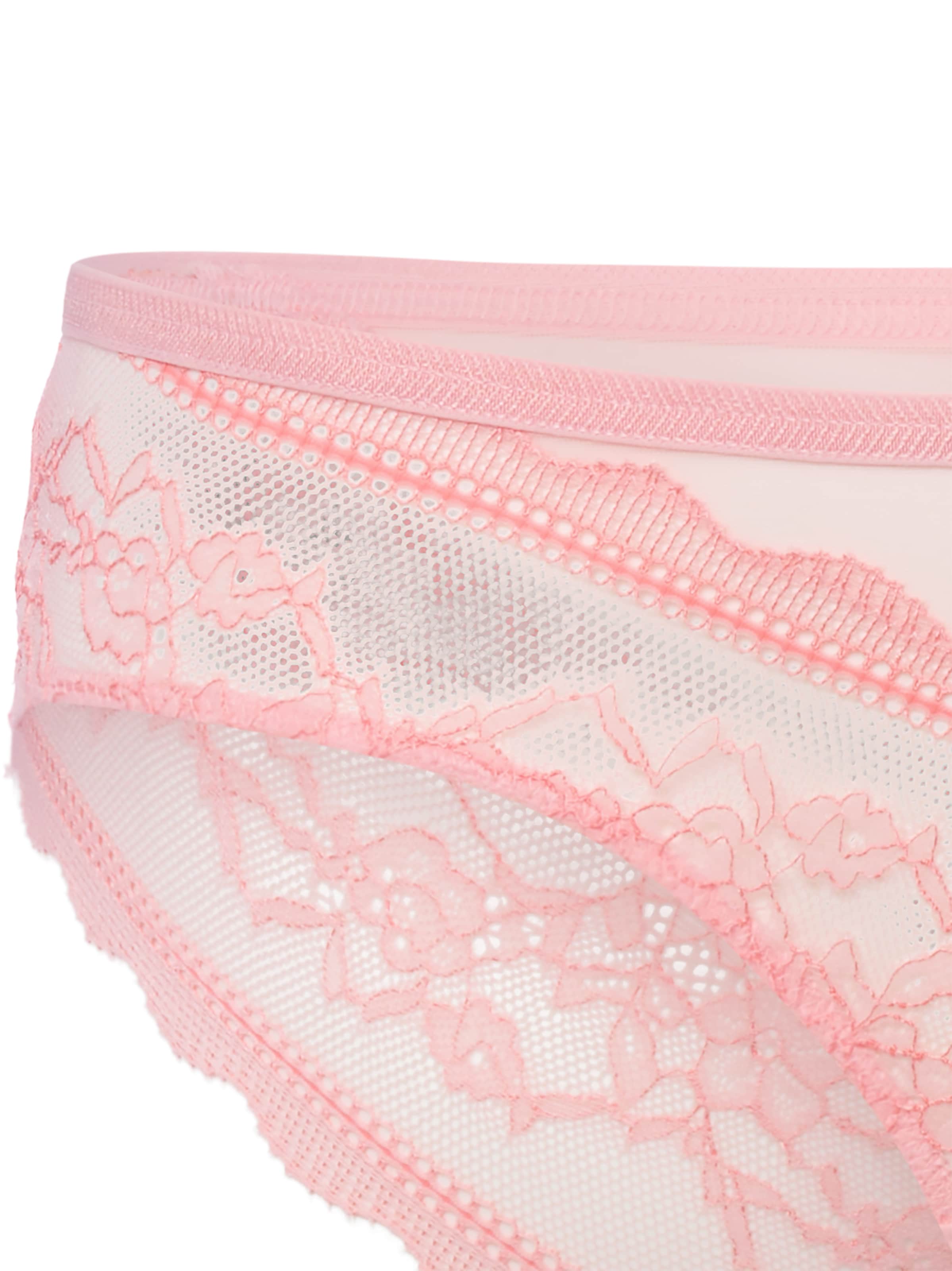 TRIUMPH Panty in Pink