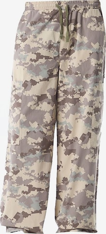 Loosefit Pantalon Dandalo en gris : devant