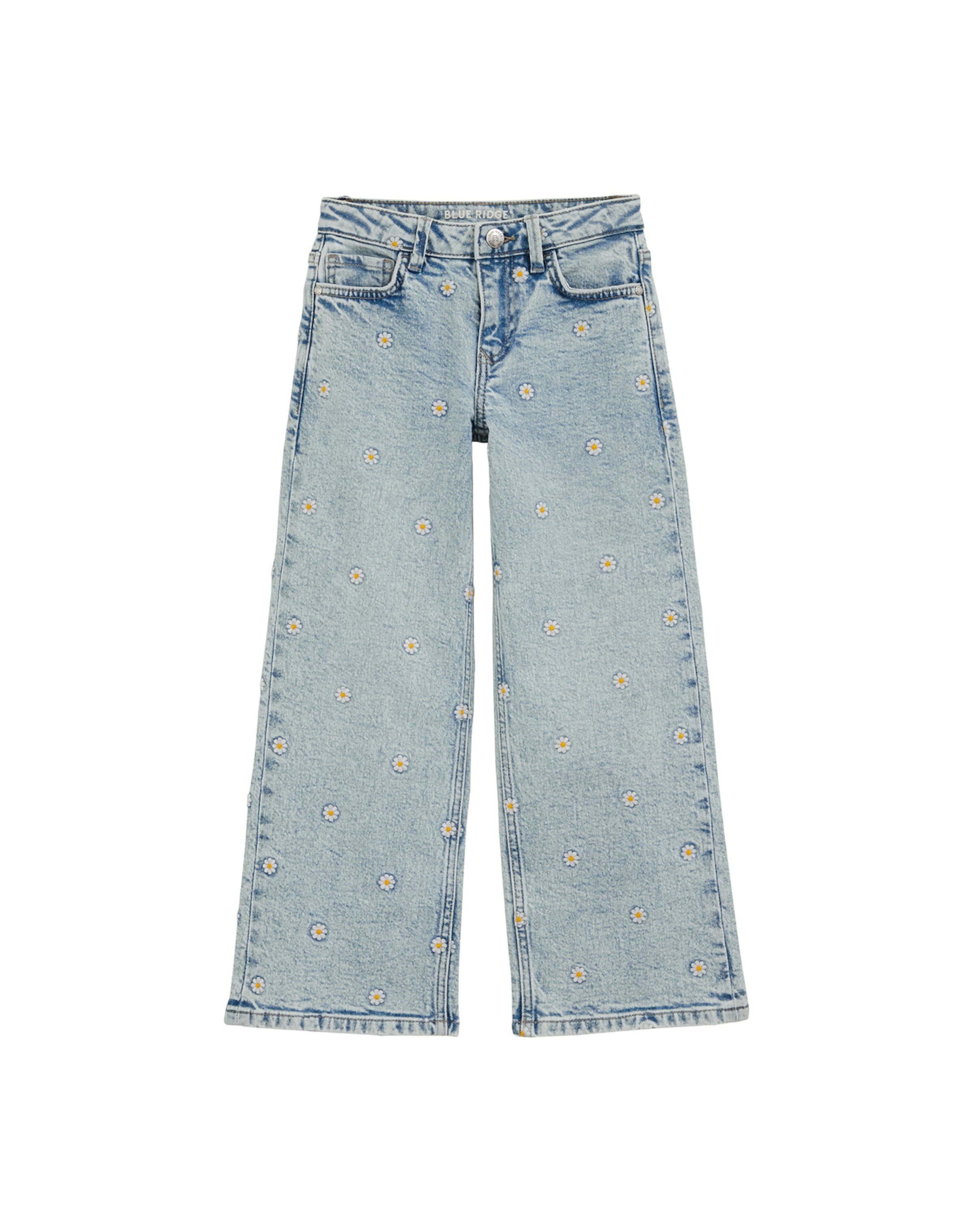 Wide Leg Jean WE Fashion en bleu : devant