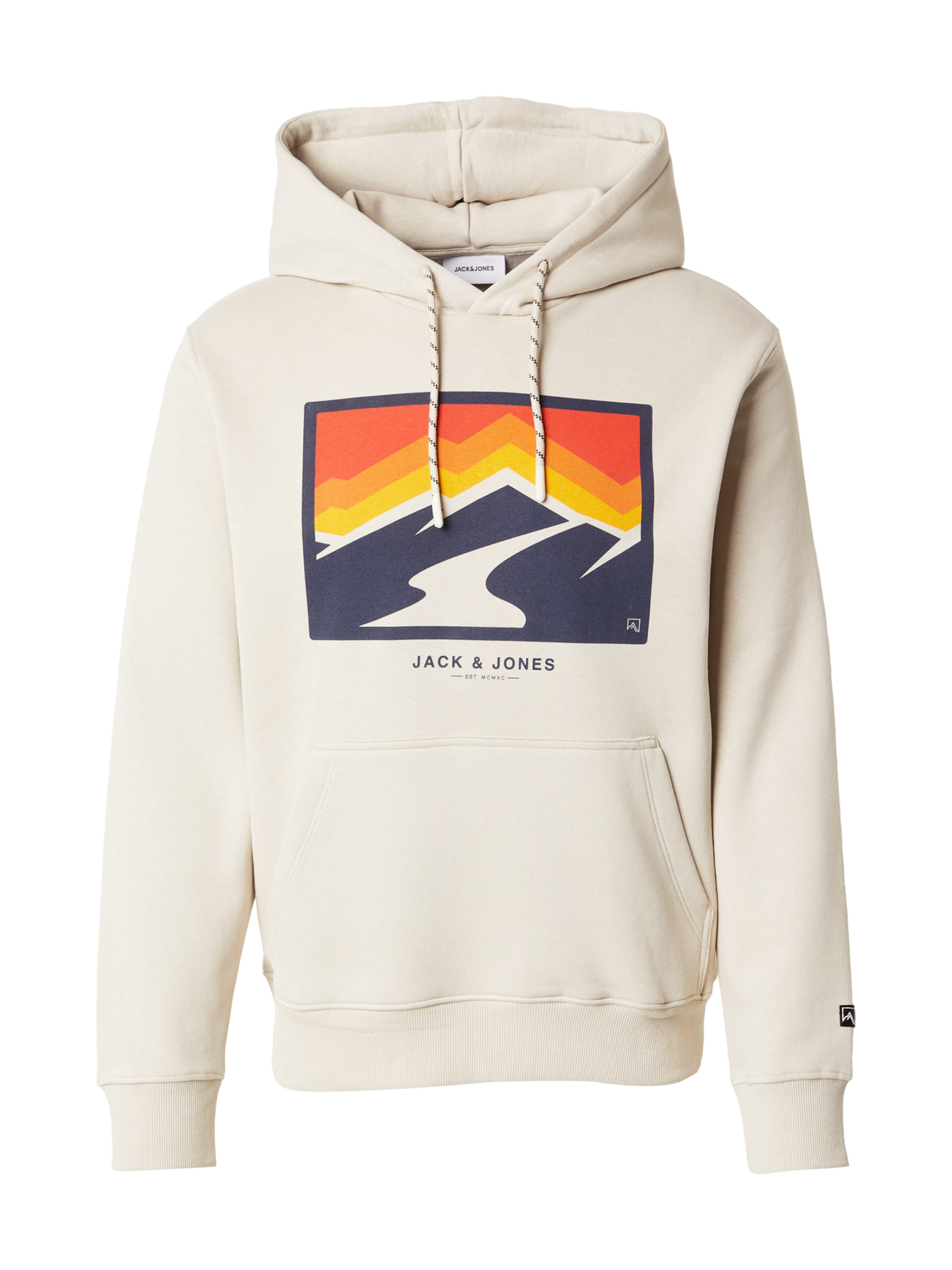 Felpa 'JJEXPLORER' di JACK & JONES in grigio: frontale