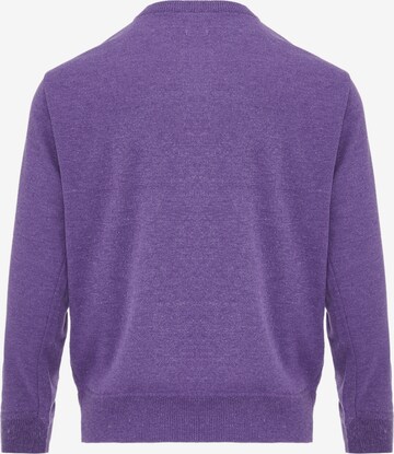 Jalene Sweater in Purple