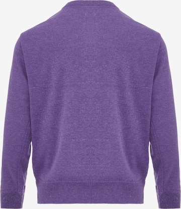 CELOCIA Sweater in Purple