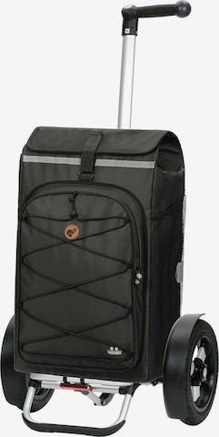 Trolley 'Fado 2.0' di Andersen Shopper in grigio: frontale