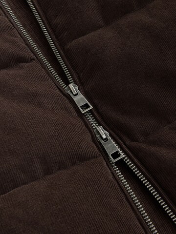 Giacca di mezza stagione di Next in marrone