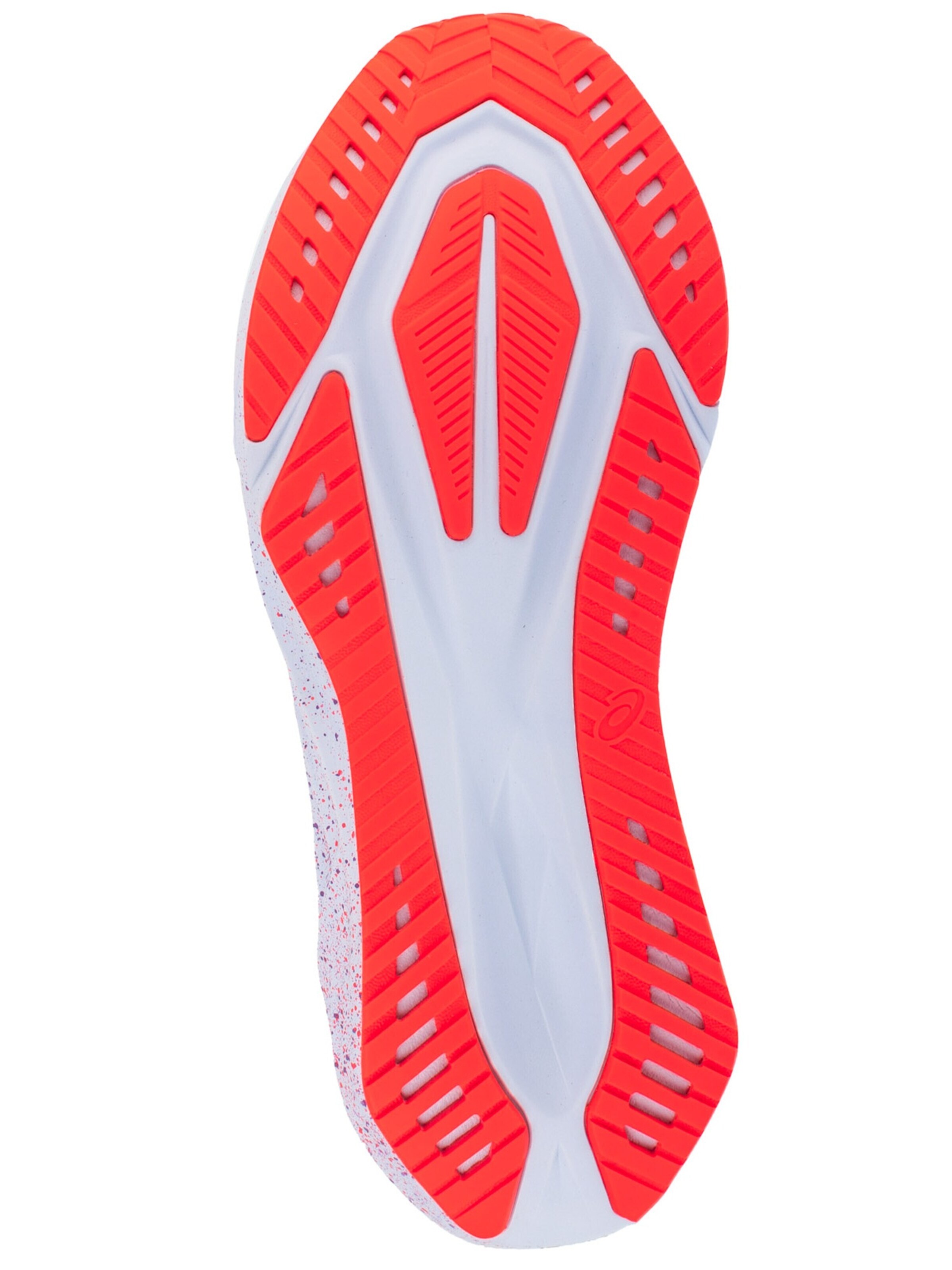 ASICS Laufschuh 'Novablast 5 Tokyo'‌‌‌‌‌‌ in Grau