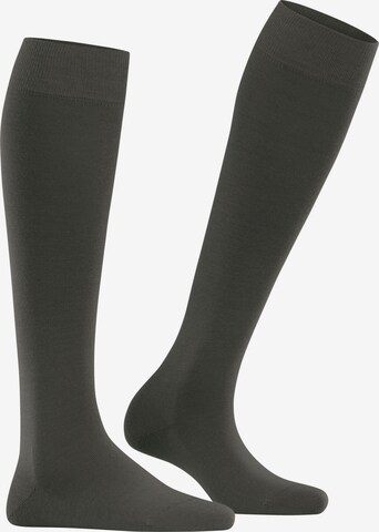 FALKE Knee High Socks 'Softmerino' in Green: front