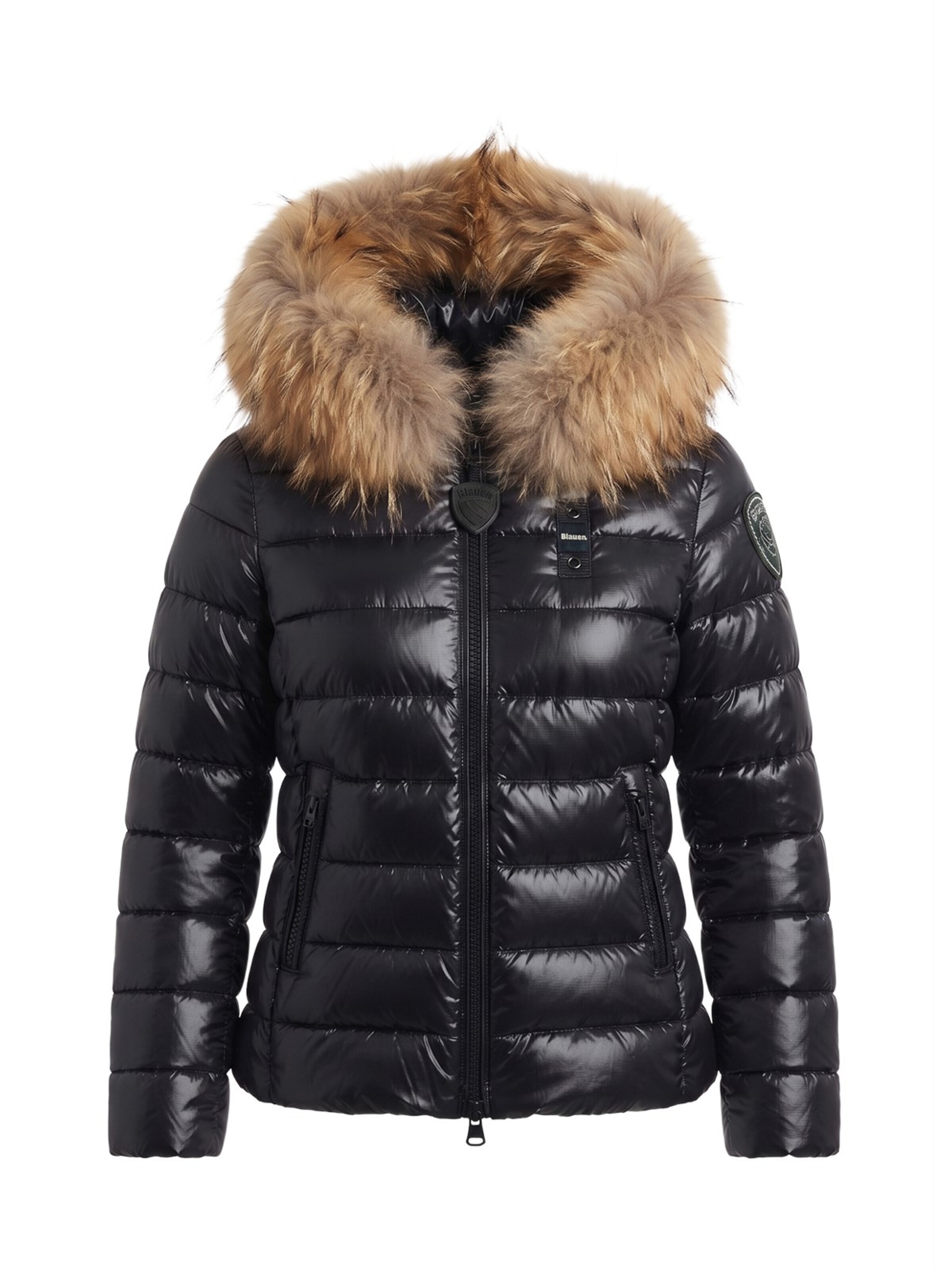 Blauer.USA Winter jacket in Black: front