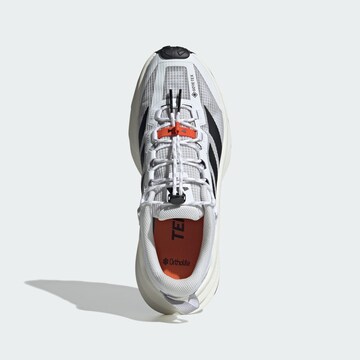 ADIDAS TERREX Полуботинки 'Freehiker SL' в Белый
