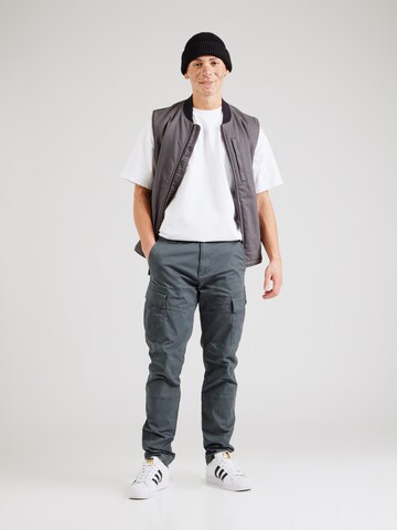 Tapered Pantaloni cargo 'Ferron' di Vintage Industries in grigio