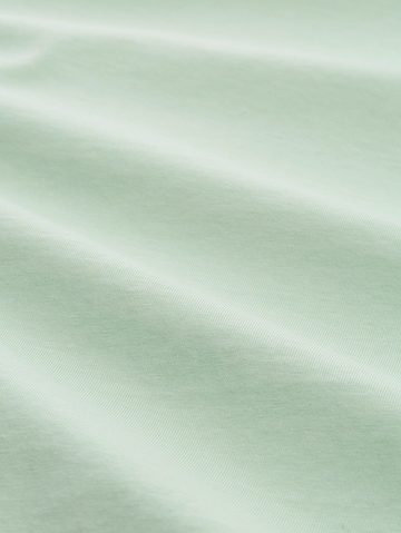 TOM TAILOR DENIM Shirt in Groen