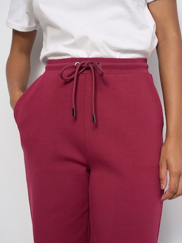 Salsa Jeans Regular Broek in Rood