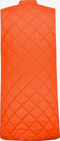 Ulla Popken Bodywarmer in Oranje