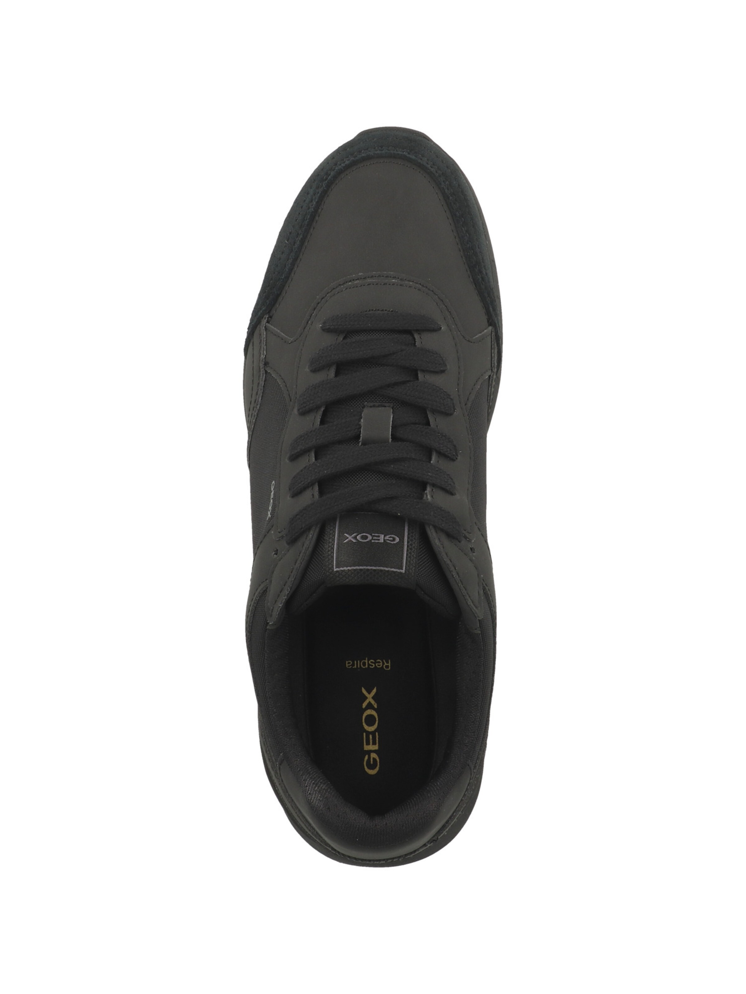 GEOX Sneakers laag ' U Branthon B ' in Zwart