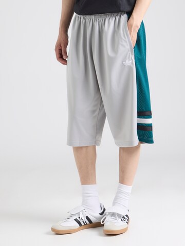ADIDAS ORIGINALS Loosefit Παντελόνι σε γκρι: μπροστά